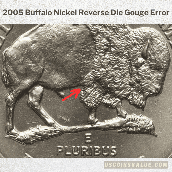 2005 Buffalo Nickel Reverse Die Gouge Error